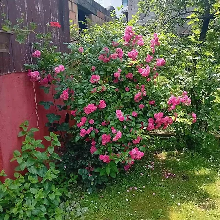 Smestaj Vesna Bajina Basta Exterior photo