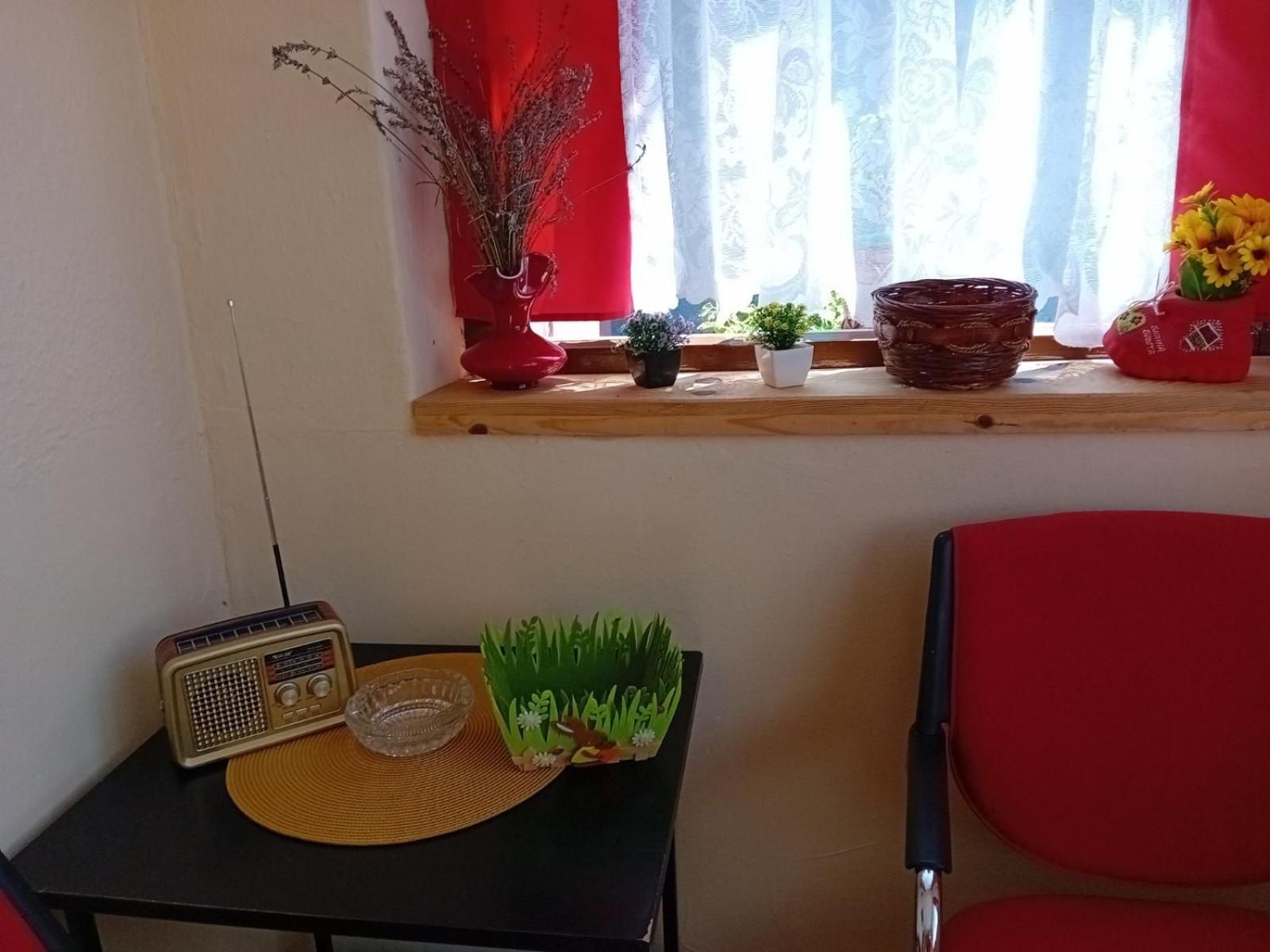 Apartment Smestaj Vesna Bajina Basta