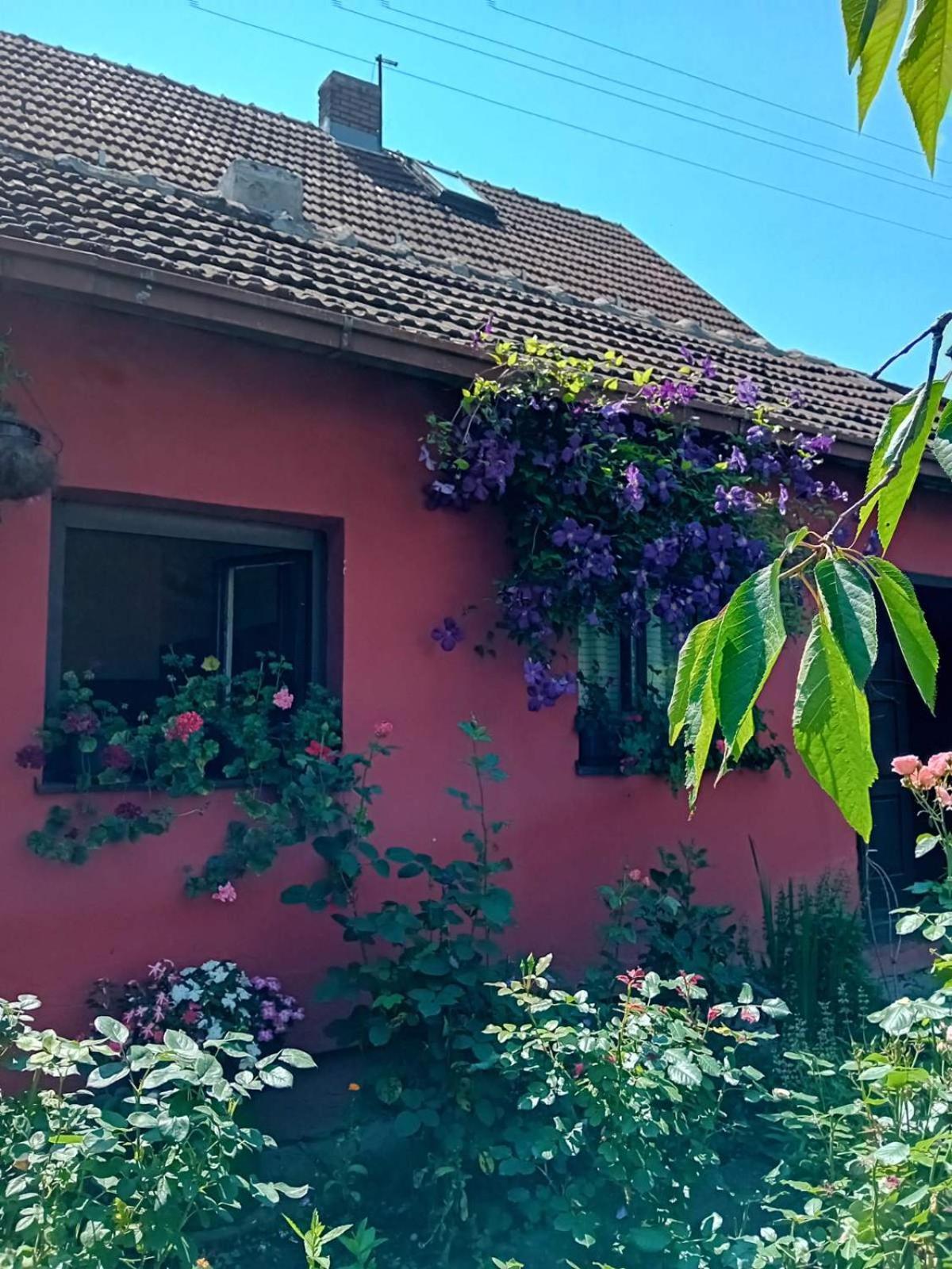 Apartment Smestaj Vesna